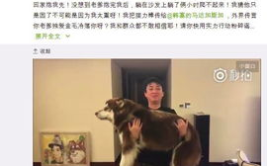 活捉网红,揭秘网络红人的崛起与影响力