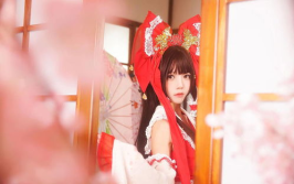 桜桃喵写真萌堆,治愈系猫咪的甜蜜瞬间